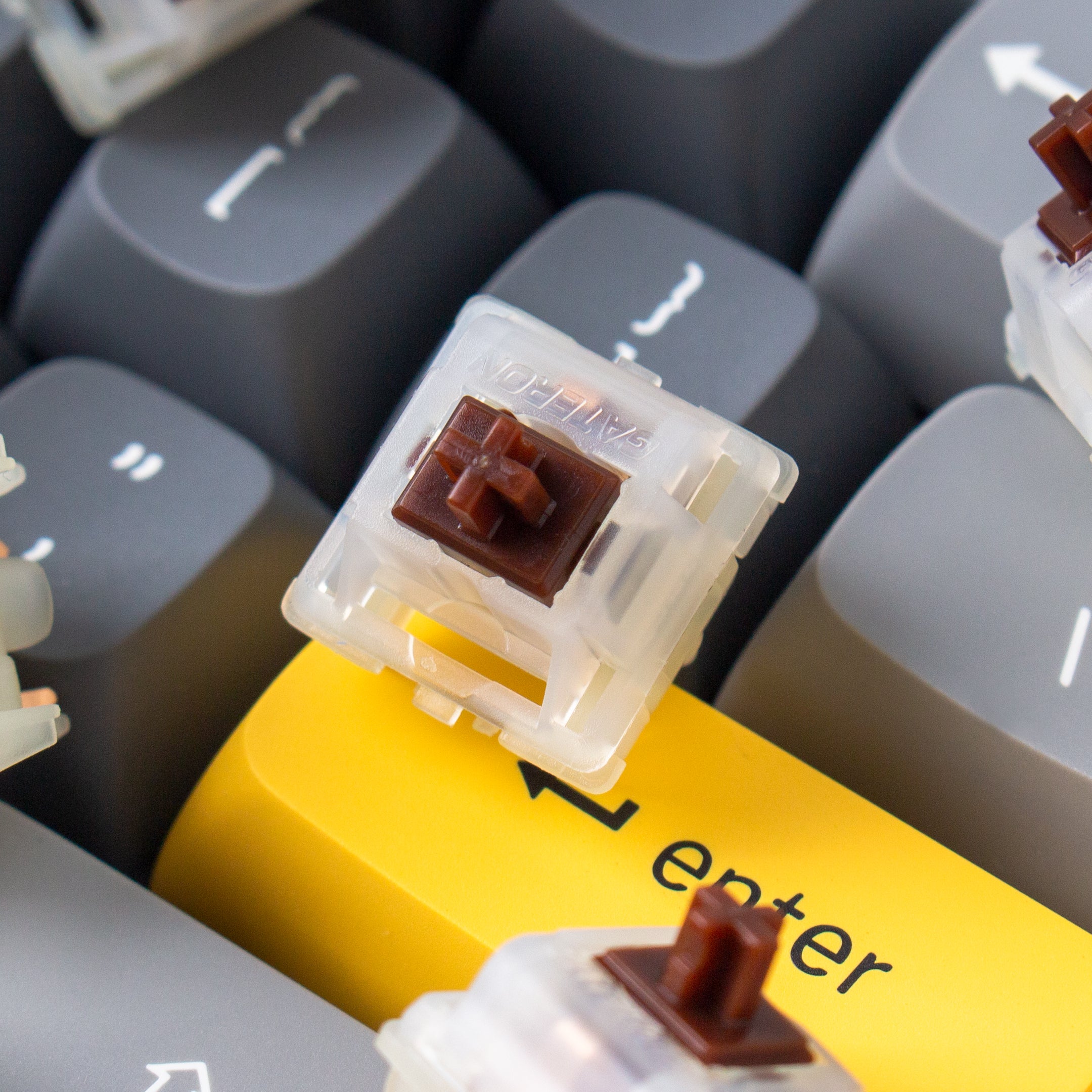 Gateron Milk Swithches